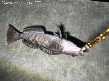 �����ʥ�