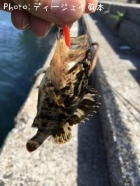 �����Υ���Х�