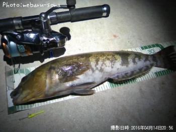 �����ʥ�