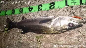 �����Х����ե�å�