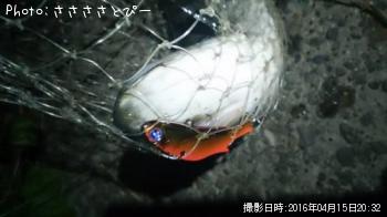 �����Х����ե�å�