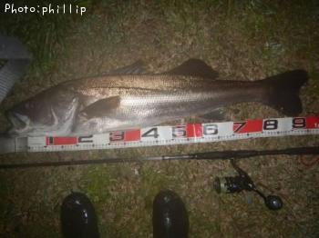 �����Х�