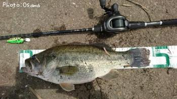 �֥�å��Х�