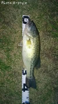 ¥Ö¥é¥Ã¥¯¥Ð¥¹