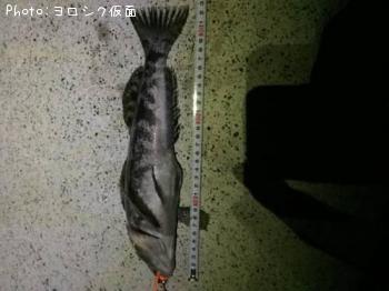 �����ʥ�