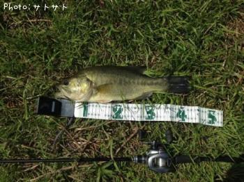 ¥Ö¥é¥Ã¥¯¥Ð¥¹