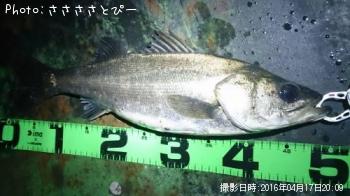 �����Х�����Х�