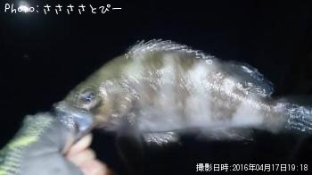 �����Х�����Х�