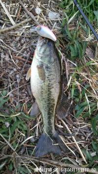 �֥�å��Х�