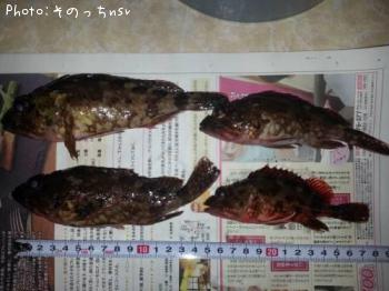 ���饫��