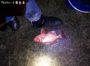 ¥Û¥¦¥»¥¥¥ó¥È¥