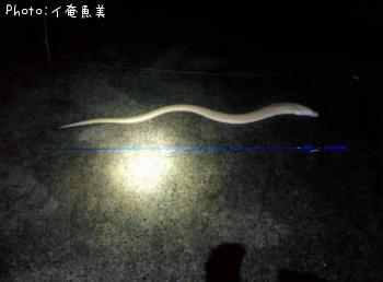 ¥¿¥±¥¦¥Ä¥Ü