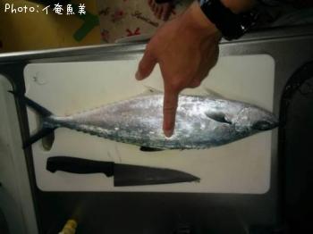 ¥¤¥±¥«¥Ä¥ª