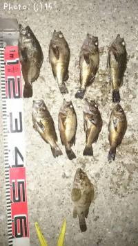 ��Ф롢����