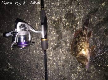 �����������������������Υ���Х�