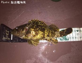 �����Υ�