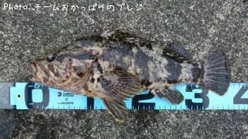 �����Υ���Х�