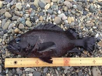 �ޥ�����