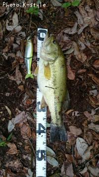 �֥�å��Х�