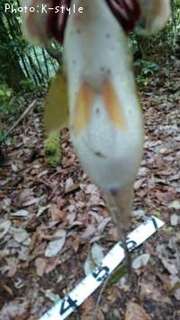 �֥�å��Х�