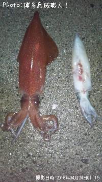 ¥±¥ó¥µ¥¥¤¥«