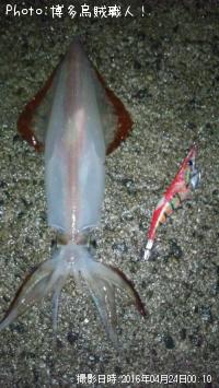 ¥±¥ó¥µ¥¥¤¥«