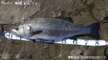 �ҥ饹����