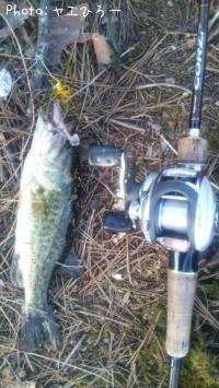 �֥�å��Х�