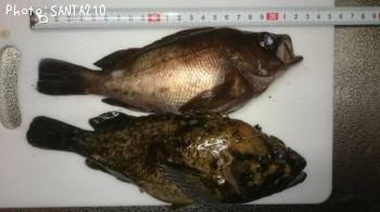 ��Х�������Υ���Х�