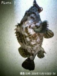 �����Υ���Х�