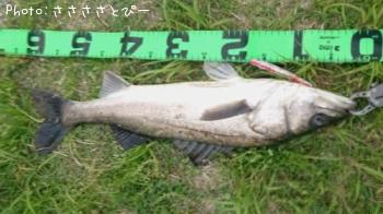 �����Х�