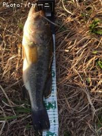 �֥�å��Х�