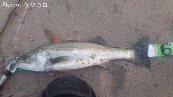 �����Х�