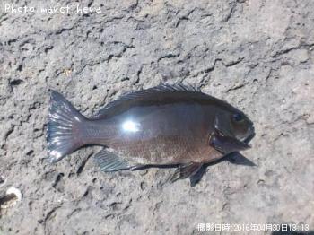 �����᥸��