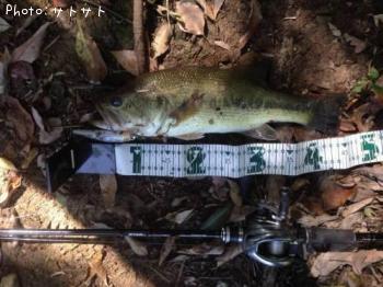 �֥�å��Х�