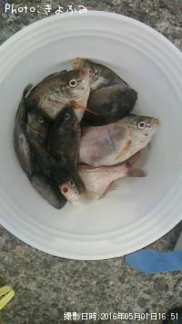 ���ߥ��ʥ����᥸�ʡ�����