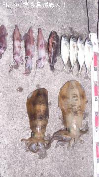 �����ꥤ��