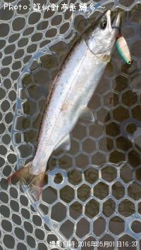 ���ĥ��ޥ�