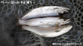 ���ĥ��ޥ�