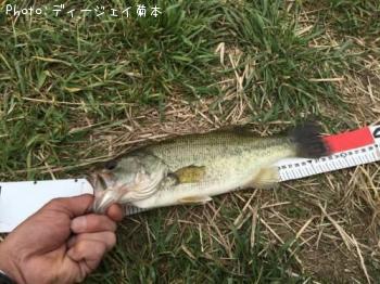 �֥�å��Х�