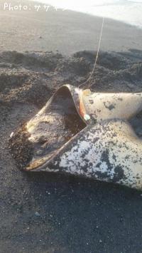 �ĥХ�������