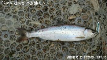 ���ĥ��ޥ�