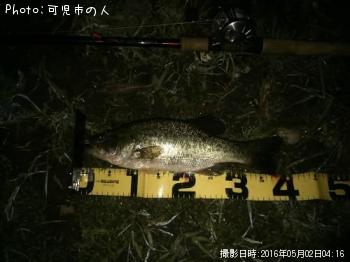 �֥�å��Х�