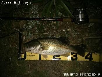 ¥Ö¥é¥Ã¥¯¥Ð¥¹