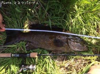 ���⡼��ޥ����Х�