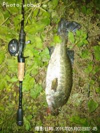 �֥�å��Х�