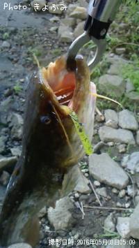 �ʥޥ�