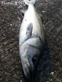 �����Х�