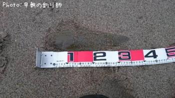 �����ӥ��