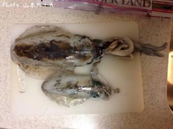 �����ꥤ��